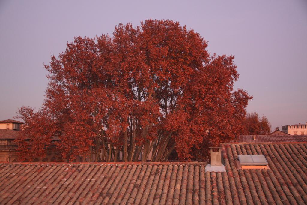 A La Terrasse D'Avignon Apartment Exterior photo